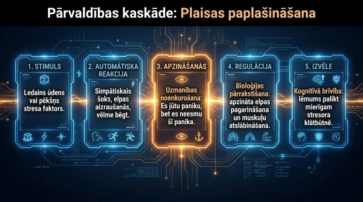 No stimula līdz izvēlei: kā trenē pašregulāciju