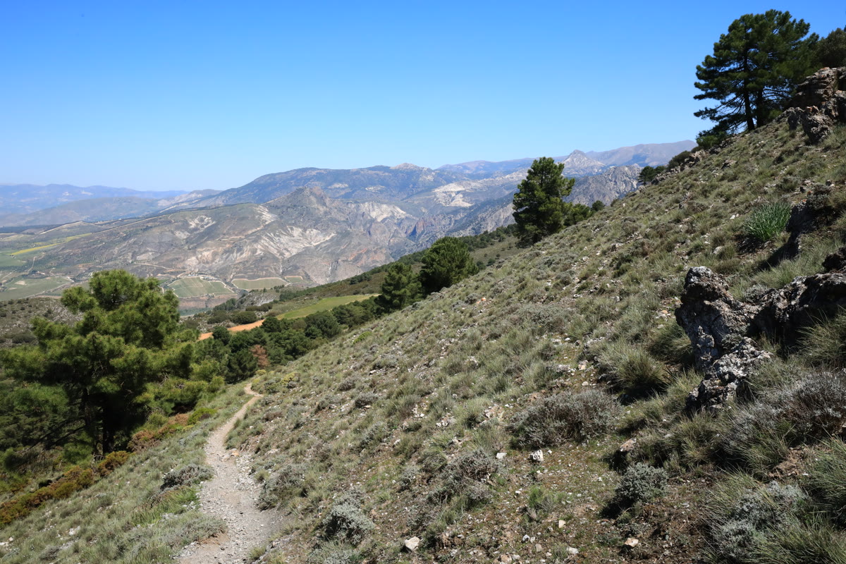 Šaura pārgājienu taka kalna nogāzē Sjerra Nevadā